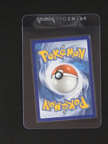 Pokémon Card Back — front