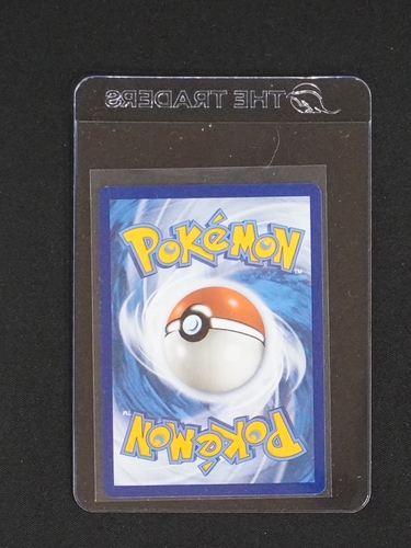 2024 Pokémon Card Back — front