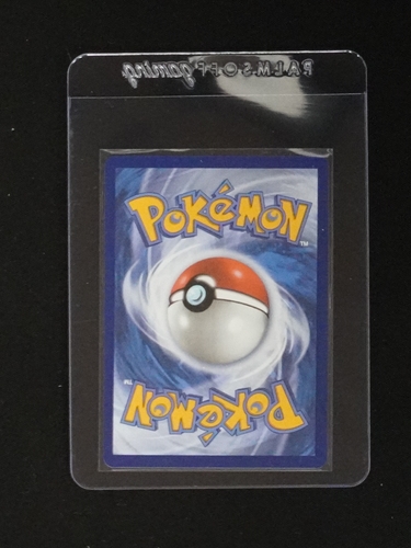 2023 Pokemon Card Back Illustration — front