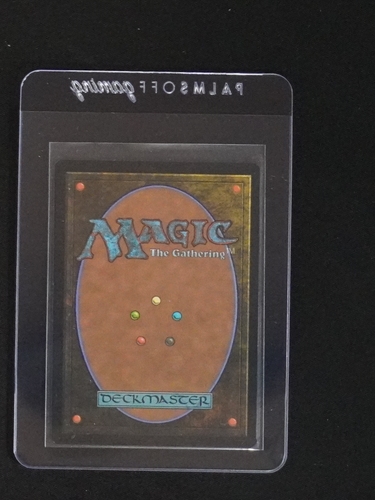 1993 Magic: The Gathering Deckmaster Card Back — front