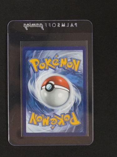 2023 Pokémon TCG Illustration — front