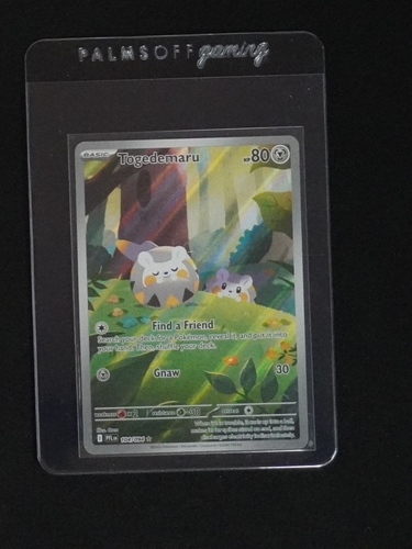 2025 Pokémon #104 Togedemaru Phantasmal Flames — front