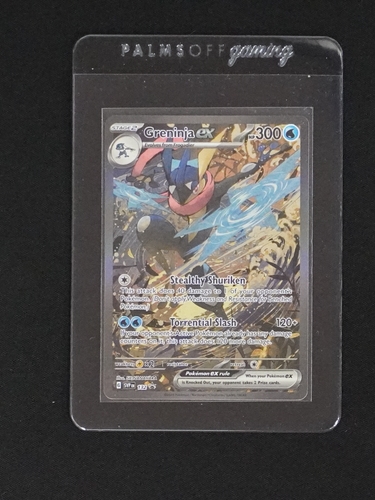 2024 Pokémon Black Star Promo #132 Greninja ex — front
