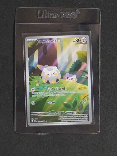 2025 Pokémon Phantasmal Flames #104 Togedemaru — front