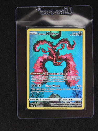 2023 Pokemon SWSH Black Star Promo Crown Zenith Tin #284 Galarian Moltres — front