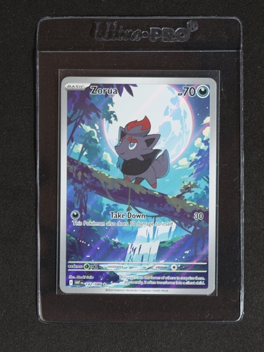 2025 Pokémon #142 Zorua White Flare Illustration Rare — front