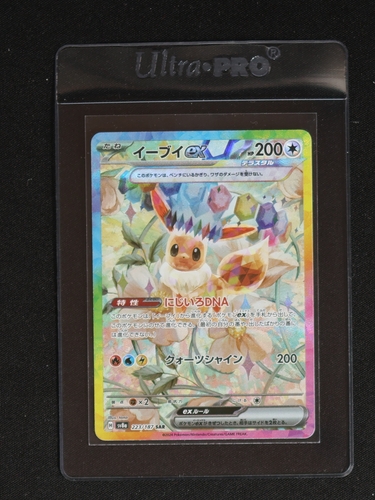 2024 Pokémon #223 Eevee ex — front