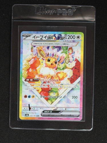 2024 Pokémon SV8a Terastal Festival EX #224 Eevee EX — front