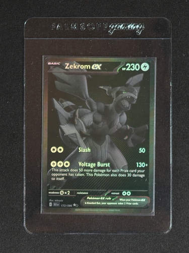2025 Pokémon Black Bolt Zekrom ex #172 — front