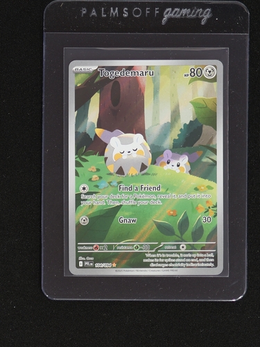 2025 Pokémon #104 Togedemaru — front