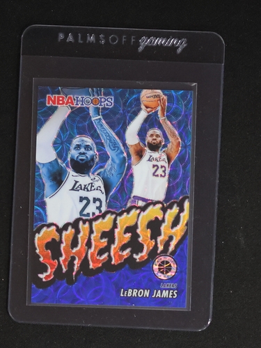 2023-24 Panini NBA Hoops Premium Stock #17 LeBron James Sheesh — front