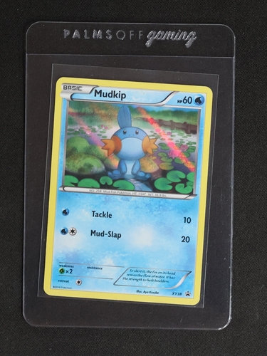 2021 Pokémon McDonald's 25th Anniversary #19 Mudkip — front