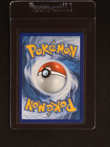 2024 Pokémon TCG Card Back — front