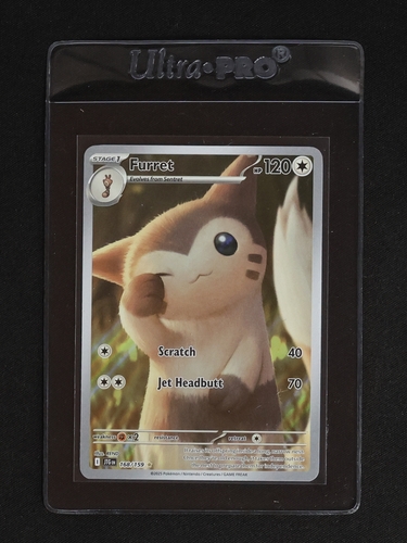 2025 Pokémon #168 Furret — front