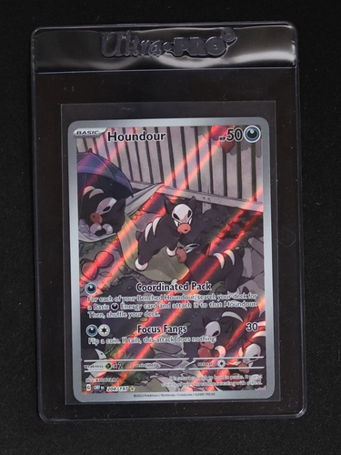 2023 Pokémon SV03 #204 Houndour Obsidian Flames Illustration Rare — front