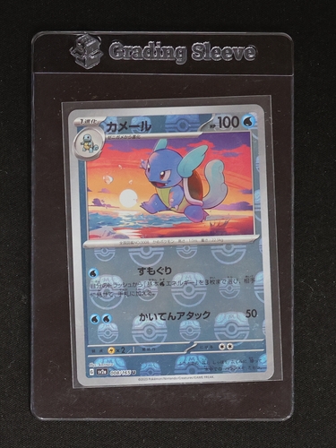 2023 Pokémon #008 Wartortle — front