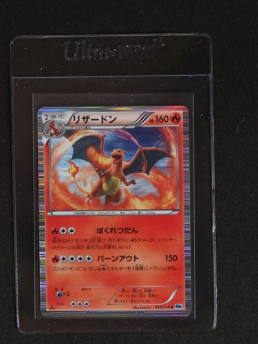 2012 Pokémon BW6 #012 Charizard Freeze Bolt — front