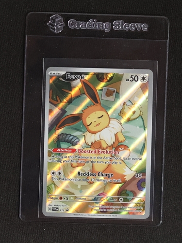 2023 Pokémon SV: Scarlet & Violet Promo #173 Eevee — front