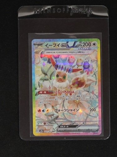 2024 Pokémon #223 Eevee ex SAR — front