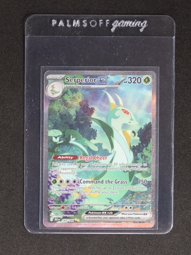 2022 Black Bolt Serperior ex #164 — front