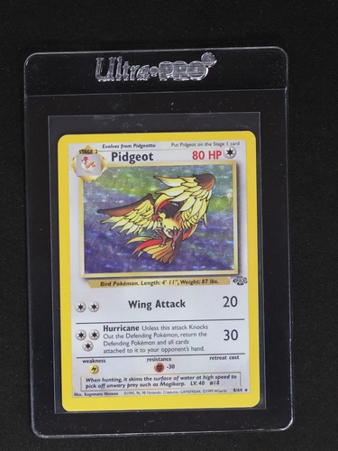 1999 Pokémon Jungle #24 Pidgeot — front