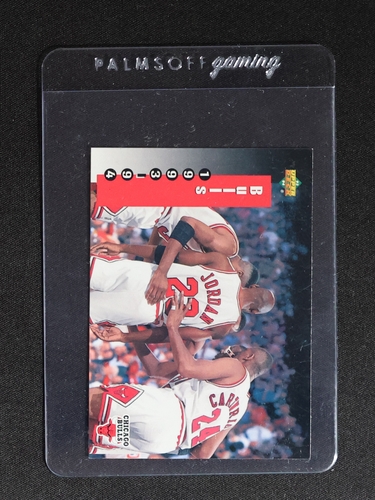 1993-94 Upper Deck #213 Chicago Bulls Team Card Michael Jordan — front
