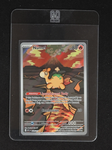 2023 Pokémon Ascended Heroes #223 Numel — front