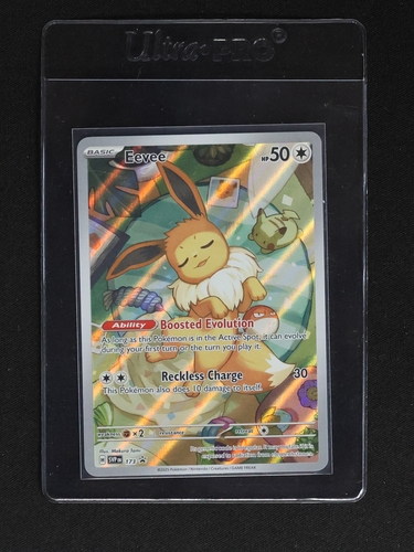 2023 Pokémon SV: Scarlet & Violet Promo #173 Eevee — front