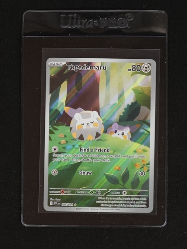 2025 Pokémon #104 Togedemaru — front