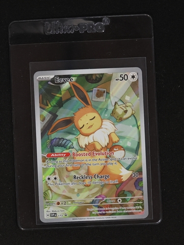 2023 Pokémon Scarlet & Violet Promo #173 Eevee — front