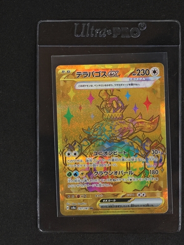 2024 Pokémon #237 Terapagos ex — front