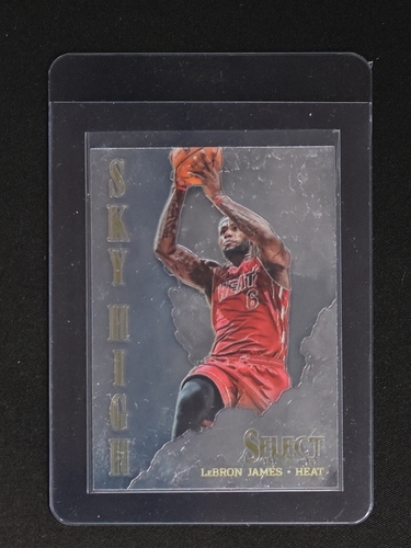 2013-14 Panini Select #8 LeBron James Sky High — front
