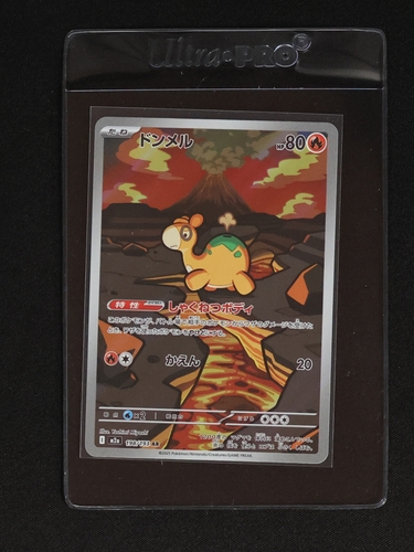 2025 Pokémon #198 Numel — front