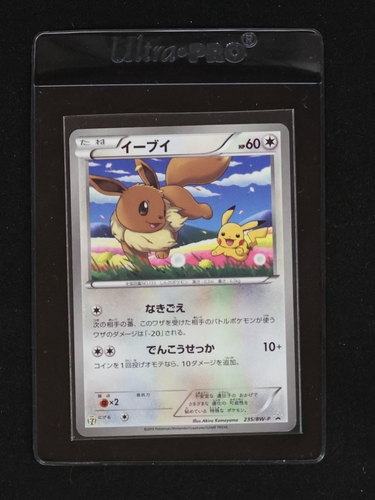 2013 Pokémon 235/BW-P Eevee — front